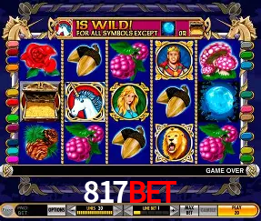 Descubra o Mundo do Cassino Online com 817bet